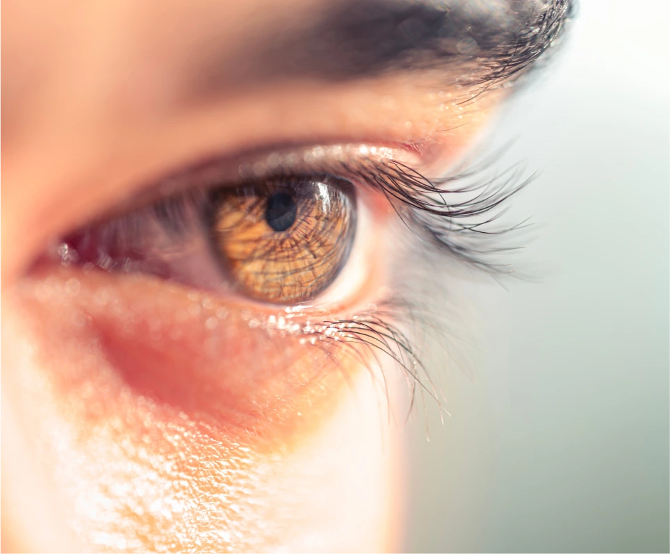 Consultation & Preparation for Upper Eyelid Surgery in Bradenton, FL Banner